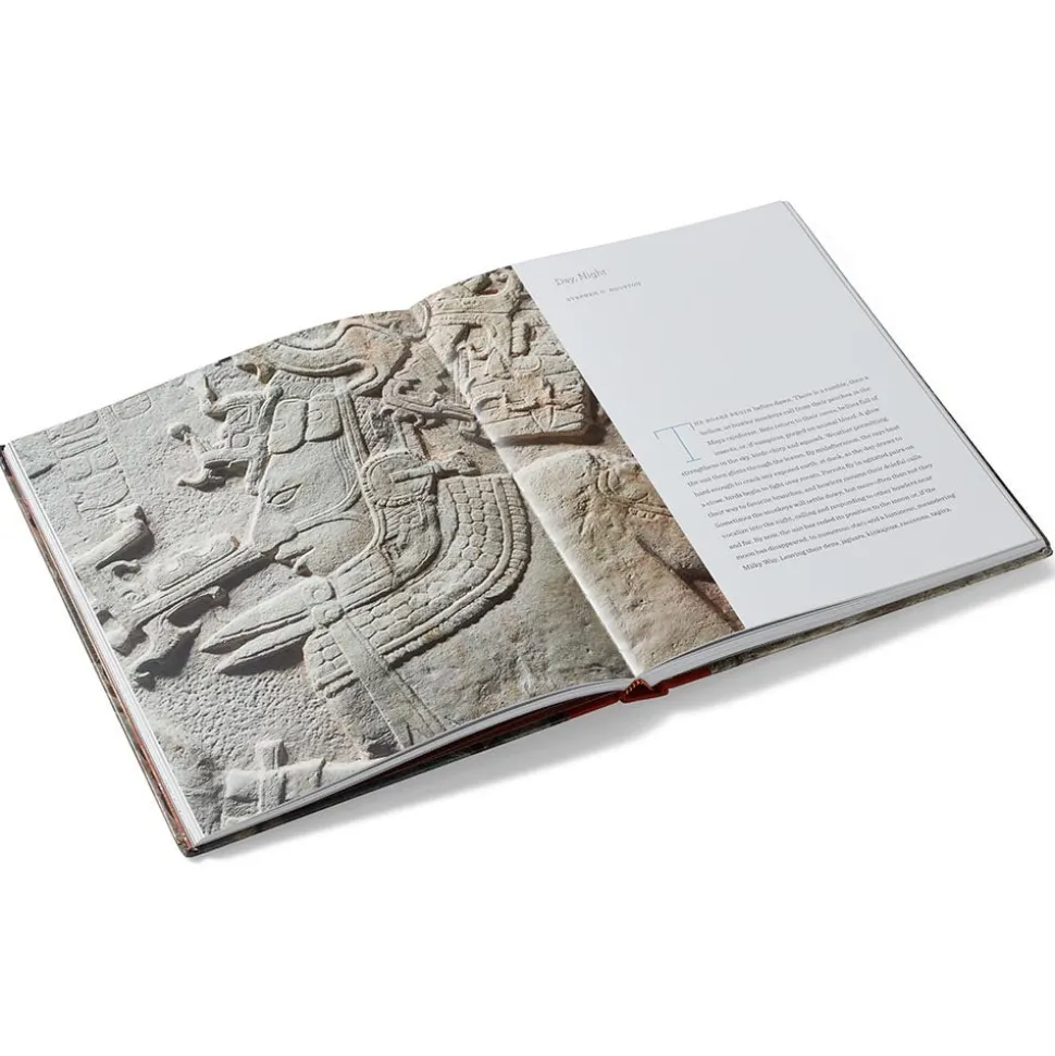 The Metropolitan Museum of Art Exhibition Catalogues*Lives Of The Gods: Divinity In Maya Art