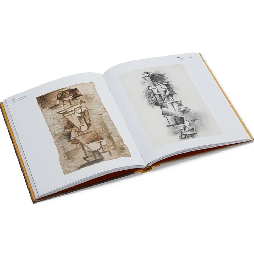 The Metropolitan Museum of Art Exhibition Catalogues*Picasso: A Cubist Commission In Brooklyn